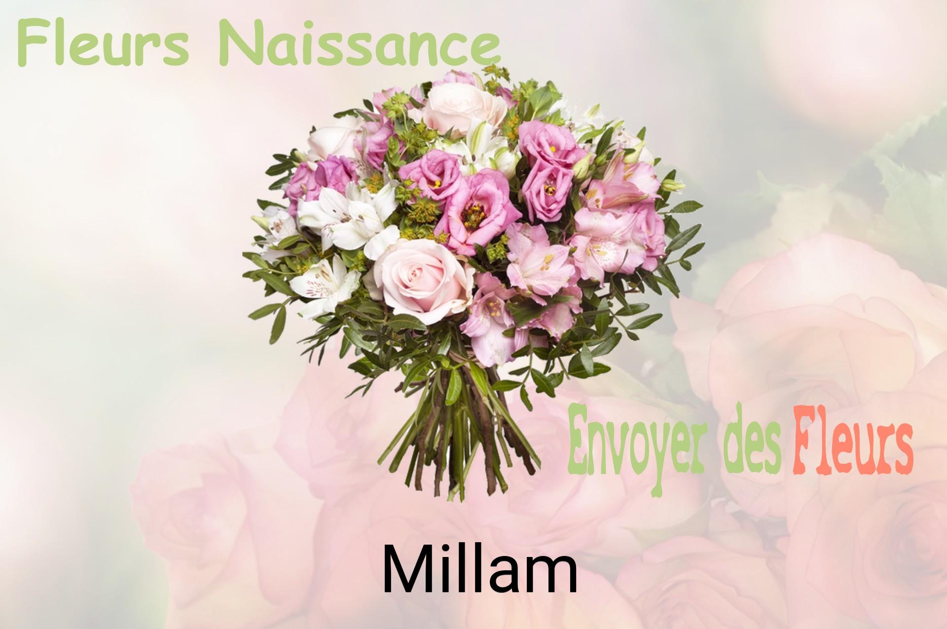Bouquet de fleurs de naissance livré à Millam
